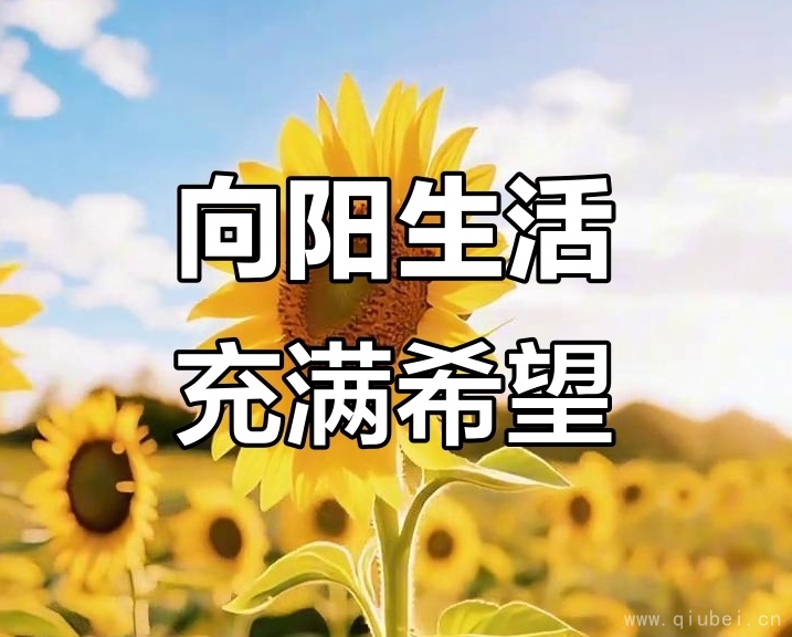 20261013182316_16166.jpg